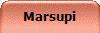 Marsupi